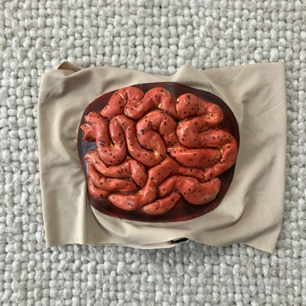 Halloween Fake Severed Body Parts Organs Intestine Wrap‎ Dead Zombie Creepy